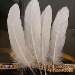 50pcs Beautiful Dyed Natural Soft Goose Feather 15-20cm/6-8inch for Carnival Diy Party Costume Mask Headress