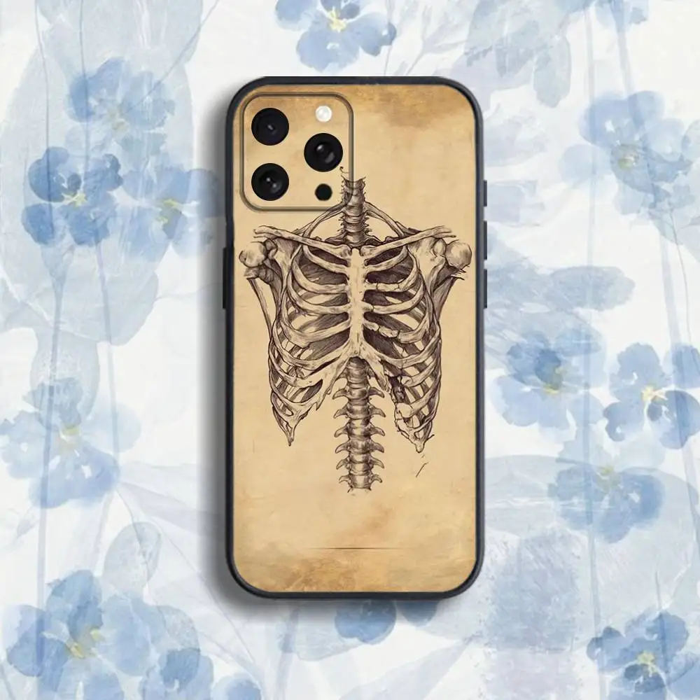 인체 해부학 의료용 아이폰 케이스 (아이폰 17, 16, 15, 14, 13, 12, 프로, 맥스, 플러스, E, SE4, 에어, 미니) 블랙 소프트 박스