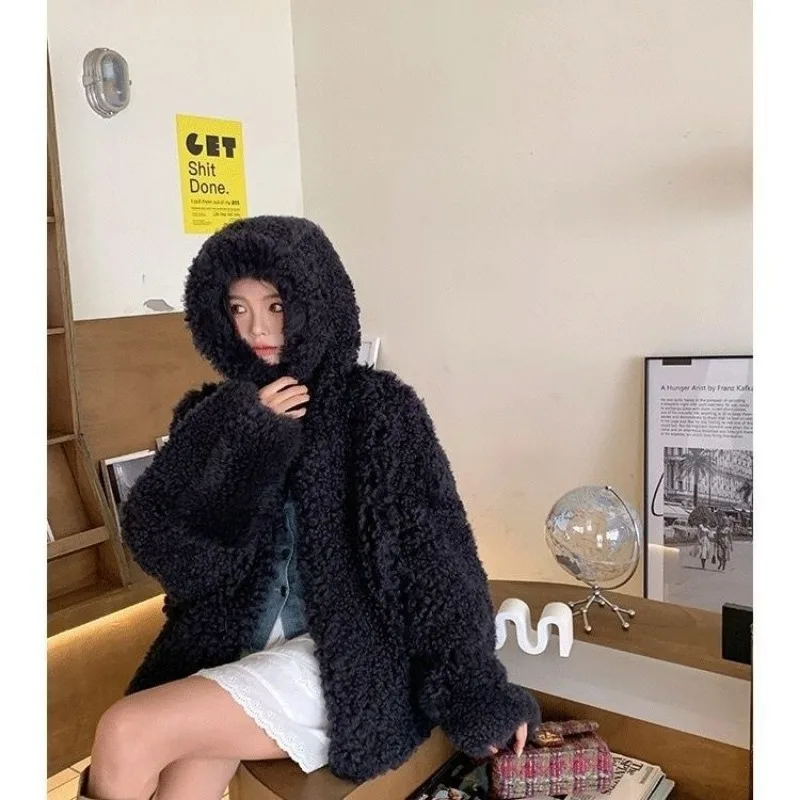 Imitation Wool Coat New Style Spring and Autumn Cardigan Zipper Granular Fleece Short Style Thickening Type Female Cute Warm