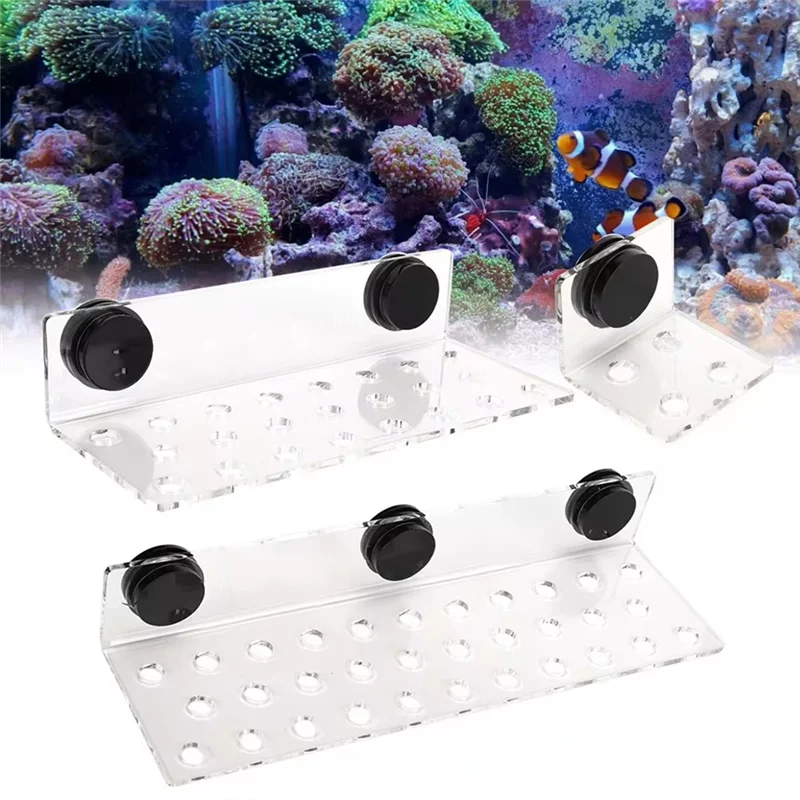 AB15-Acryl Korallen Rack Aquarium Fisch Korallen Rack Halterung Acryl Starke Saugkraft Korallen Frag Rack Halterung Korallen Rack
