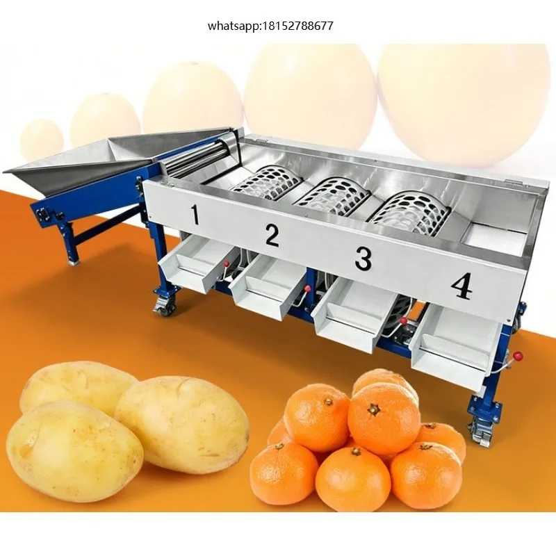 Industrial Fruit Vegetable Grader