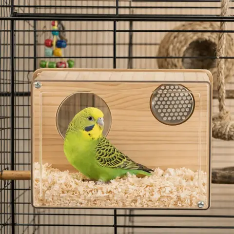 Transparent Parakeet Nesting Box Breathable Odor Resistant Wooden Bird's Nest Visible with Perch Bird Breeding Box