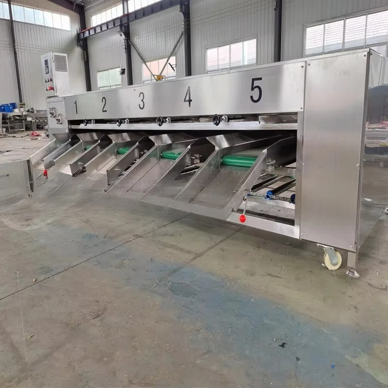 Small Size Sorting Grading Machine for Tomato Reemoon Raisin Potato Pomegranate Cherry Blueberry Fruit Food Best Price