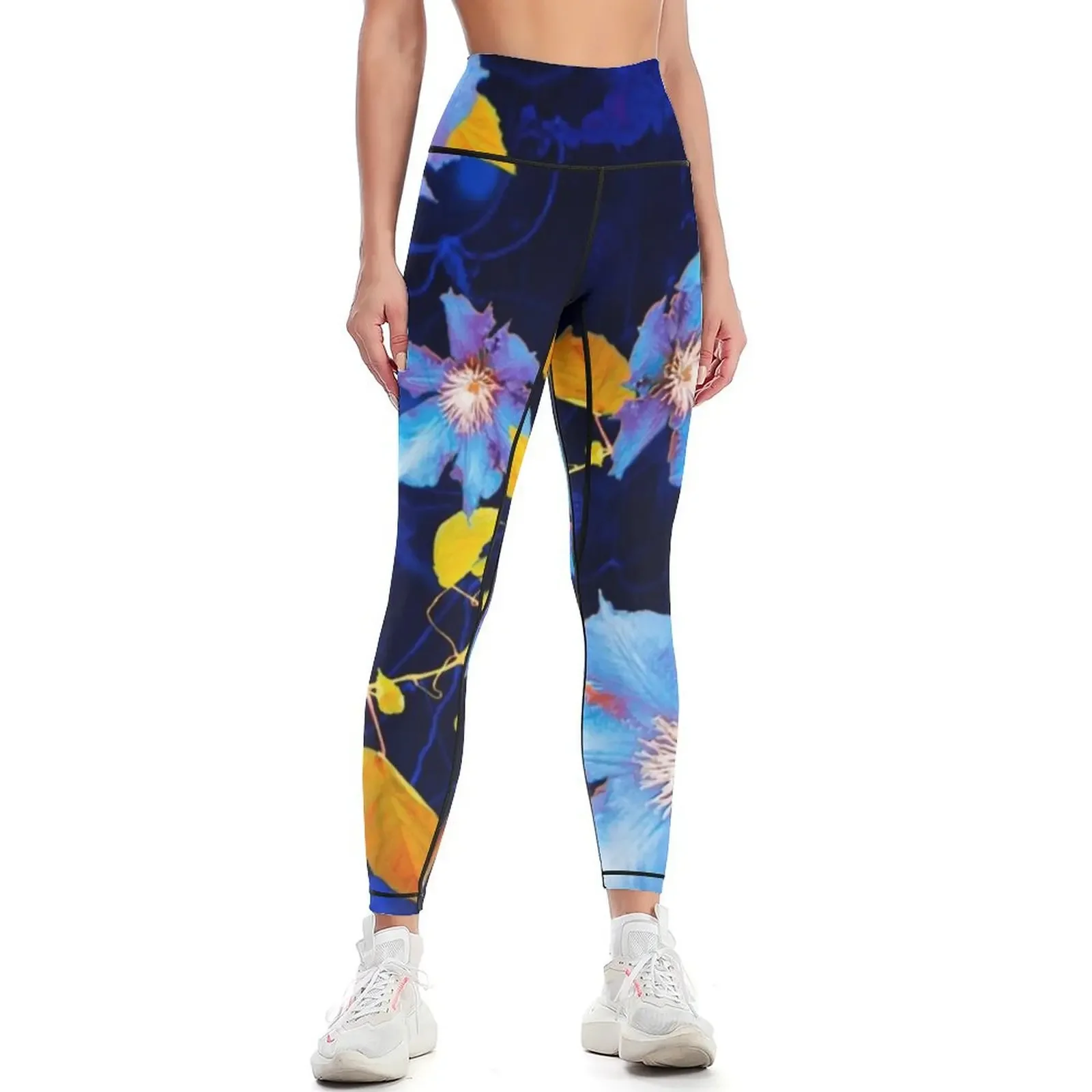 

HD “Transverse Lines” (1923) by Wassily Kandinsky Leggings legging gym sporty woman push up Womens Leggings