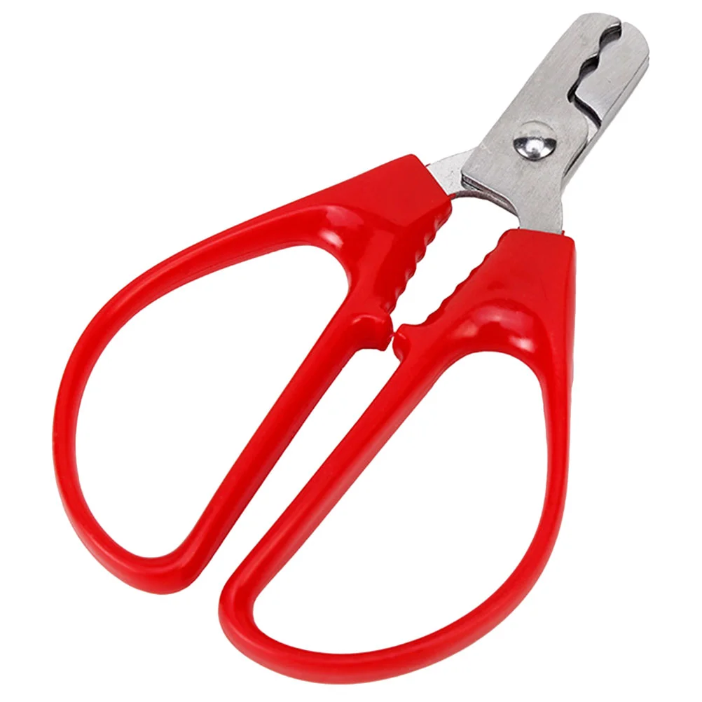 Tool Melon Seed Pliers Pine Nut Seafood Cracking Red Daily Opener Multi-function Opening