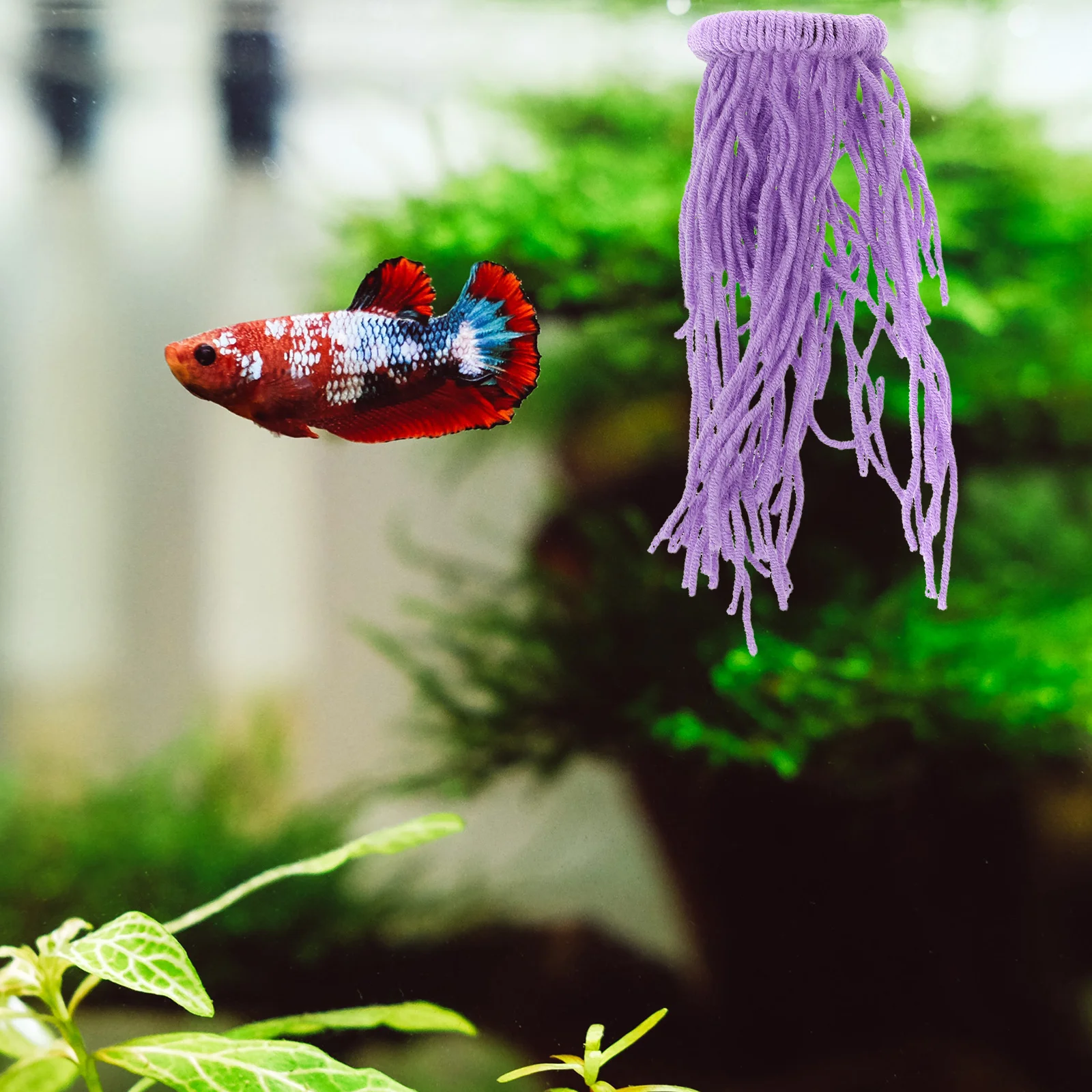 

Simulated Seaweed Egg Collector for Fishing Spawning Tool High Precision Artificial Seaweed Egg Picker Bait Fishing Gear