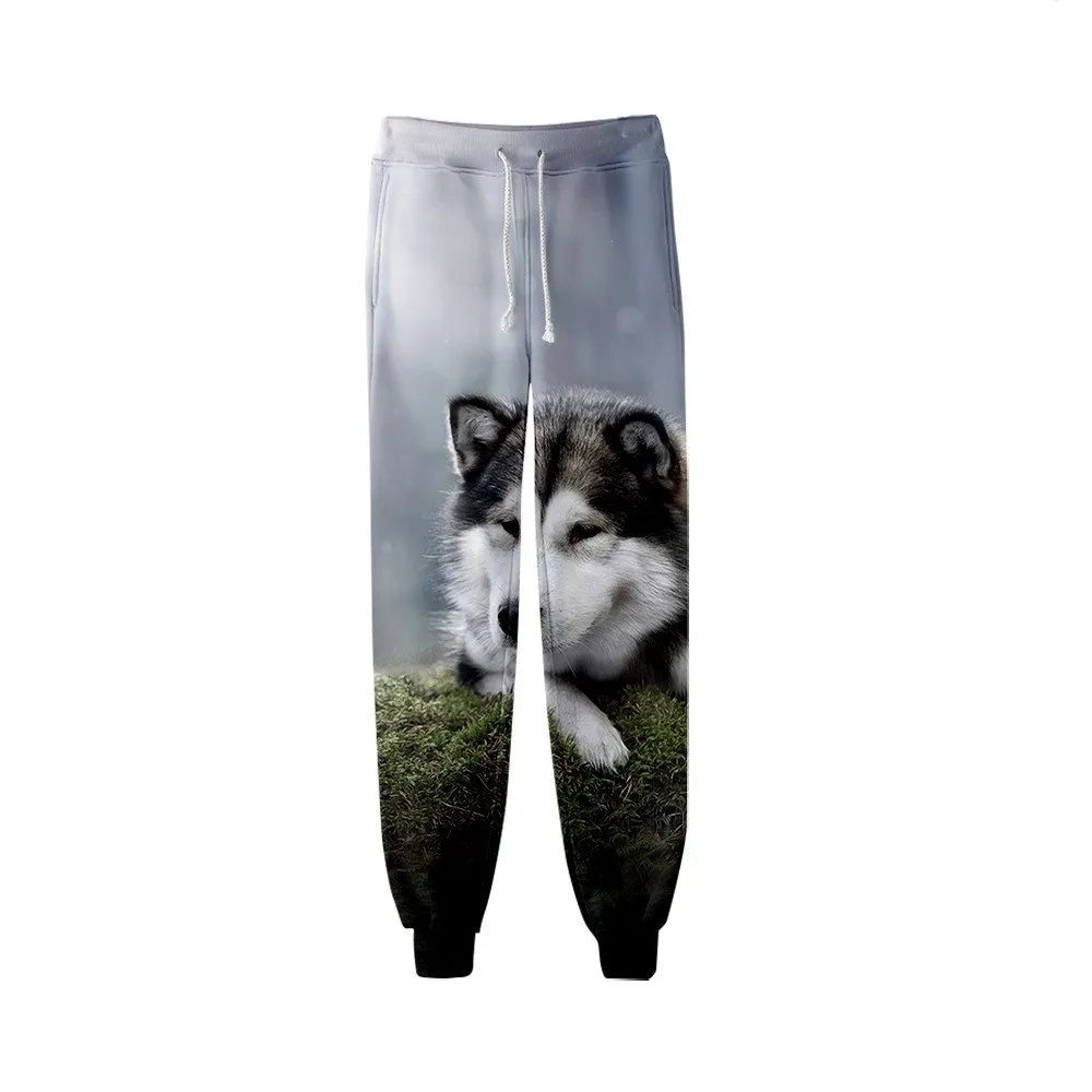 

New Animal Dog Husky 3D Print Causal Clothing Fashion Men Women Tracksuits Crewneck Hip Hop Pants Plus Size S-7XL Joggers Men