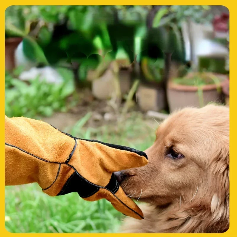 Pet Gloves Cowhide Leather Anti-grasping Anti Bite Protection Gants Snake Lizard Cat Dog Gardening Work Training Mitaines