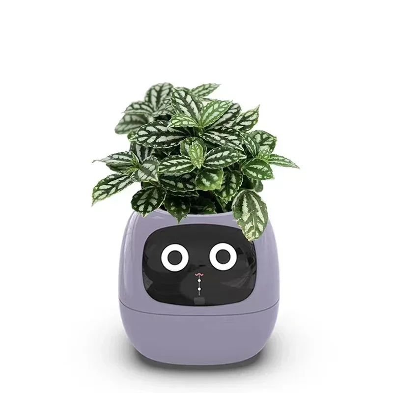 New Smart And Cute Pet Pot Ivy Table Top Green Let Your Plants Display Emotions