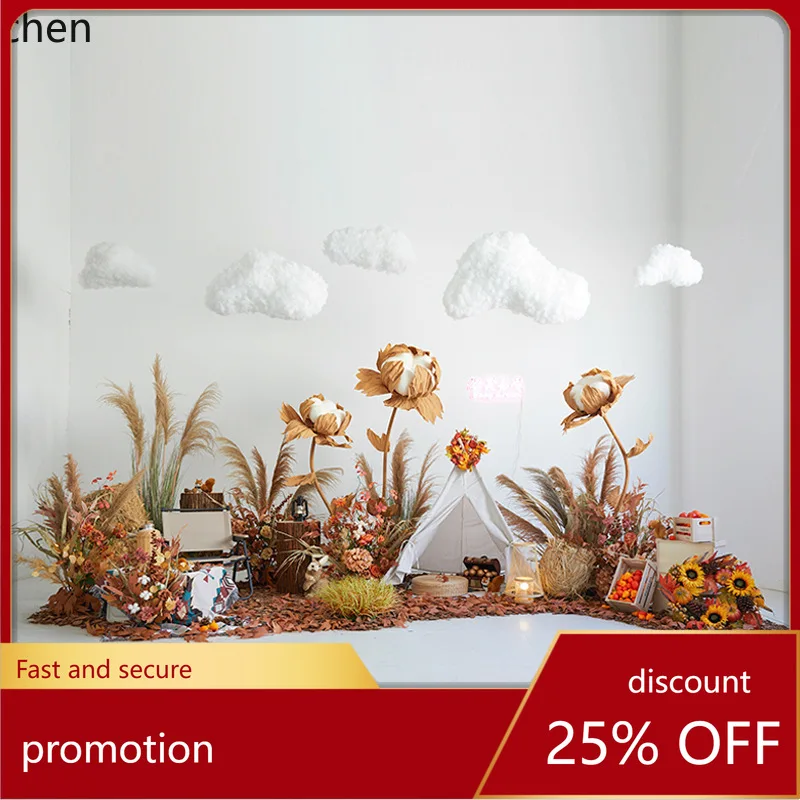 HT Plant Landscaping Fake Green Plant Cotton Cloud Reed Dried Flower Decoration Autumn Winter Window Scene Arrangement Sunlight