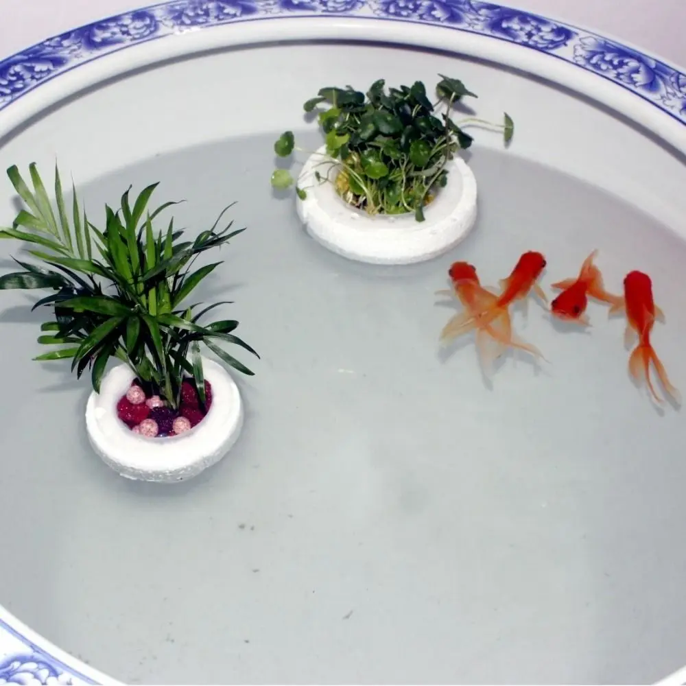 Plastic Floating Aquatic Plant Basket Round Root Protection Hydroponic Plant Holder Suction Cup Plant Root Basket Fish Tank