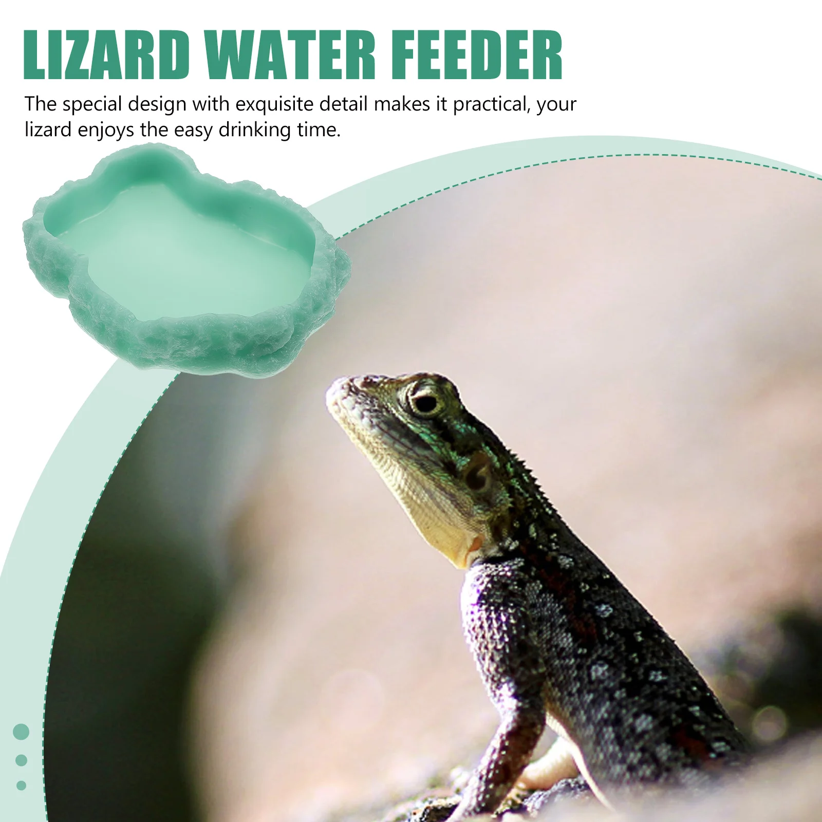 

Luminous Reptile Feeding Plate Unique Design Water Feeder Durable Round Smooth Bowl for Lizard Pet Supplies Accessory