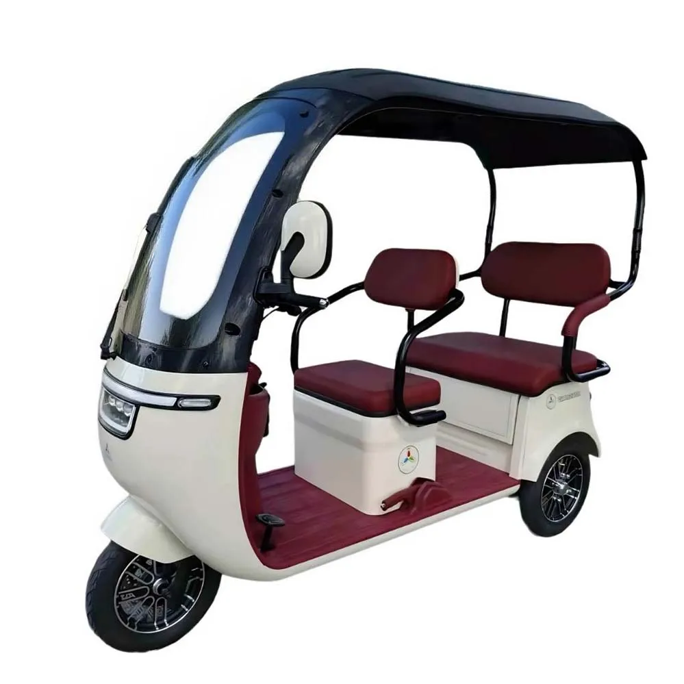 دراجة ثلاثية العجلات كهربائية 800 وات 60 فولت مع سقف دراجة كهربائية متعددة الاستخدامات للتنقل والترفيه