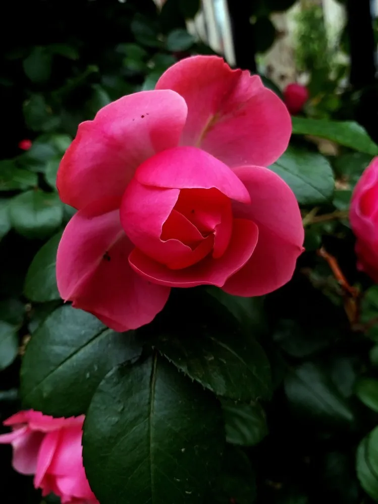 

Metal upgrade for LC Racing 1/14 WLtoys144001 124016 124017 124018 124019 remote control car accessories