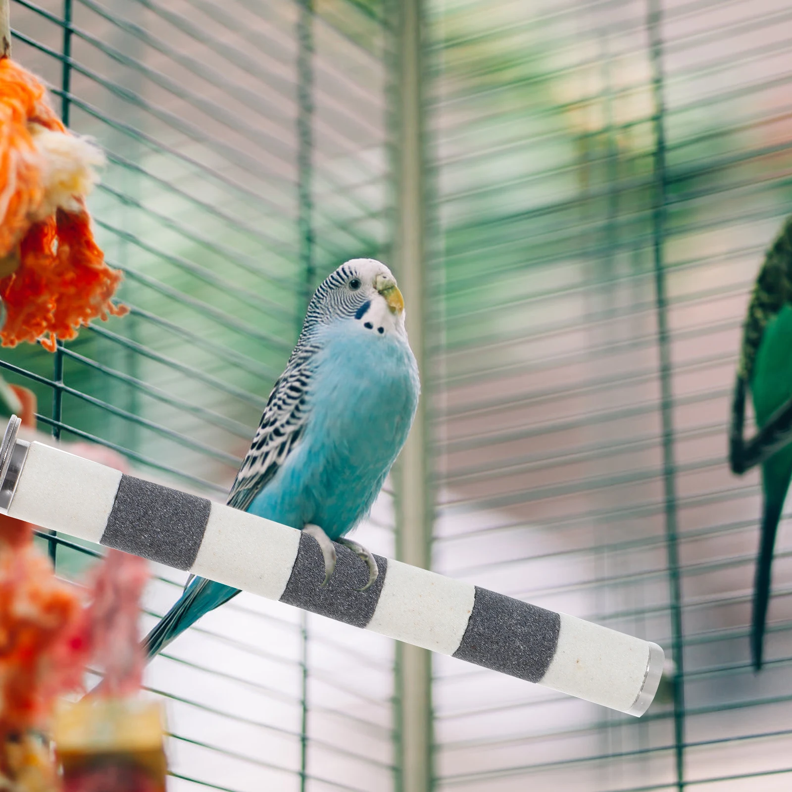 

Bird St Stick Parrot Claw Grinding Rod Perch Toy Durable Stainless Steel S For Parakeet Pet Bird Finch Long Service Life