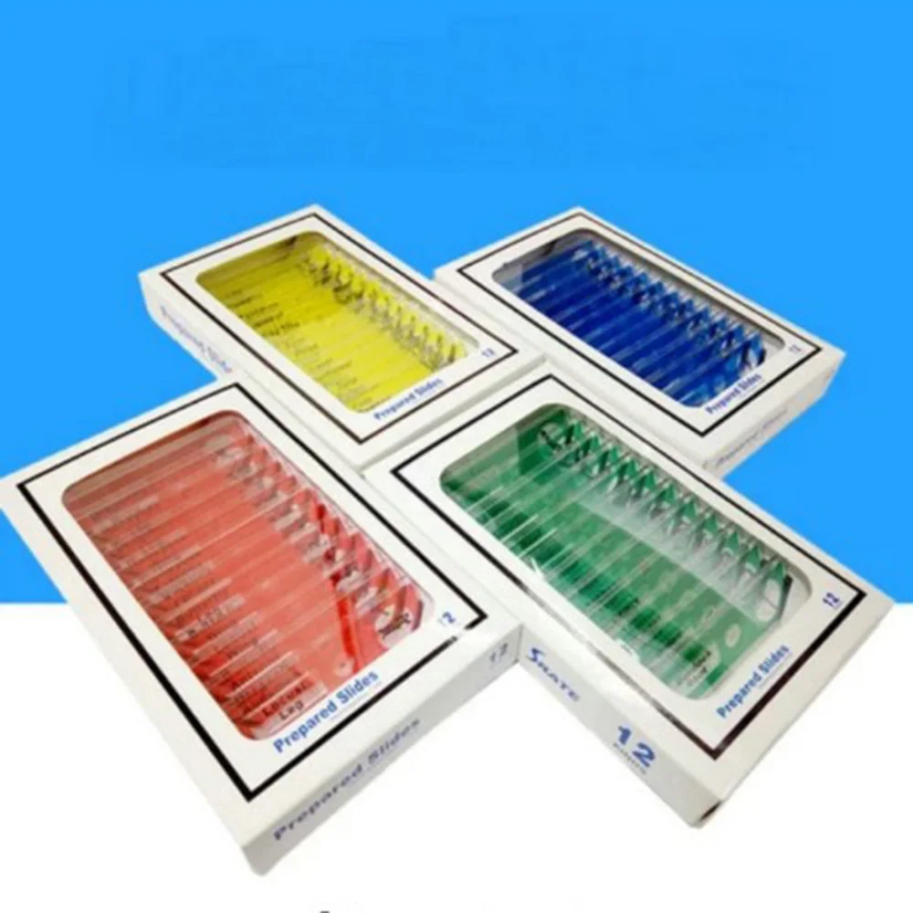 4box/lot Microscope Plastic Slides, Biological Specimen slides safe for Children