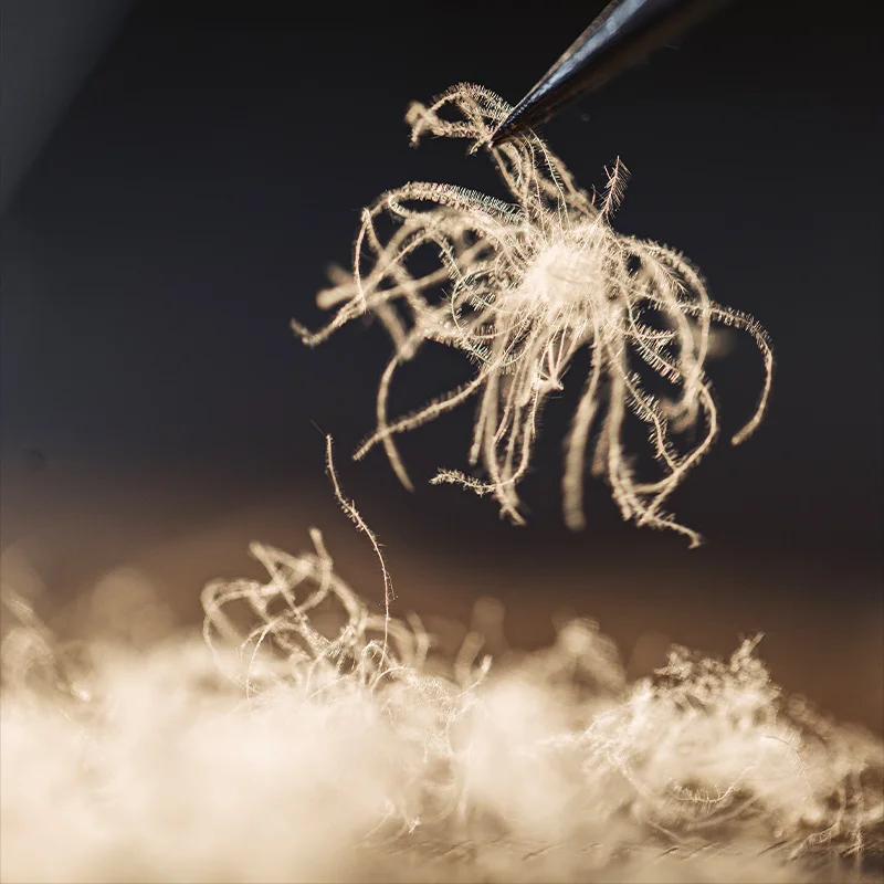 سترة Maden النسائية 90% من ريش البط الأبيض قصيرة منتفخة بياقة واقفة معطف شتوي سميك ودافئ ملابس خارجية #4