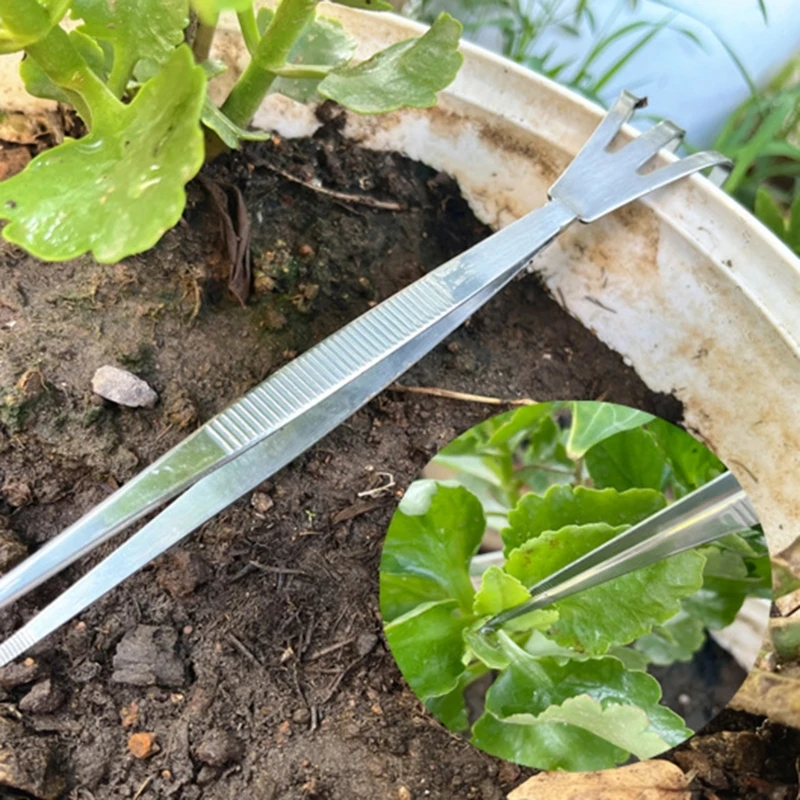 E8BD Garden Bonsai Tweezers العملي Bonsai أداة مزدوجة الرأس المصنوعة من الفولاذ المقاوم للصدأ ملقط البستنة أسهل أداة مثالية