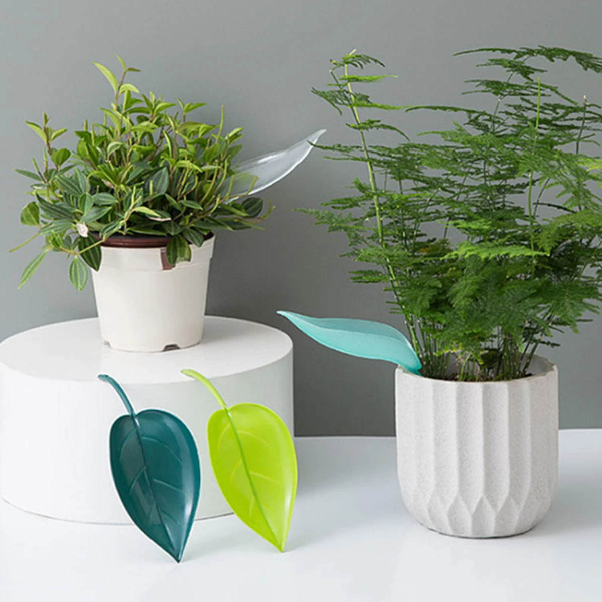 1/5/10/20PCS New Waterer, Leaf Funnel, Potted Flower Waterer, Lazy Plant Nurturing, Watering Guide, Watering