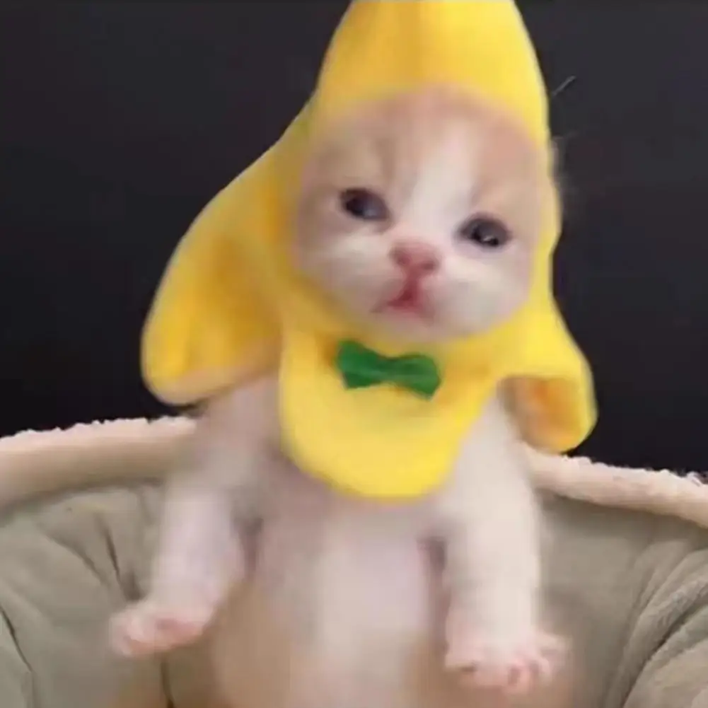 Cat Headwear Adorable Banana Shape Cat Hat with Bow Stylish Pet Costume Accessory Adjustable Soft Headwear for Kitty Costume Pet