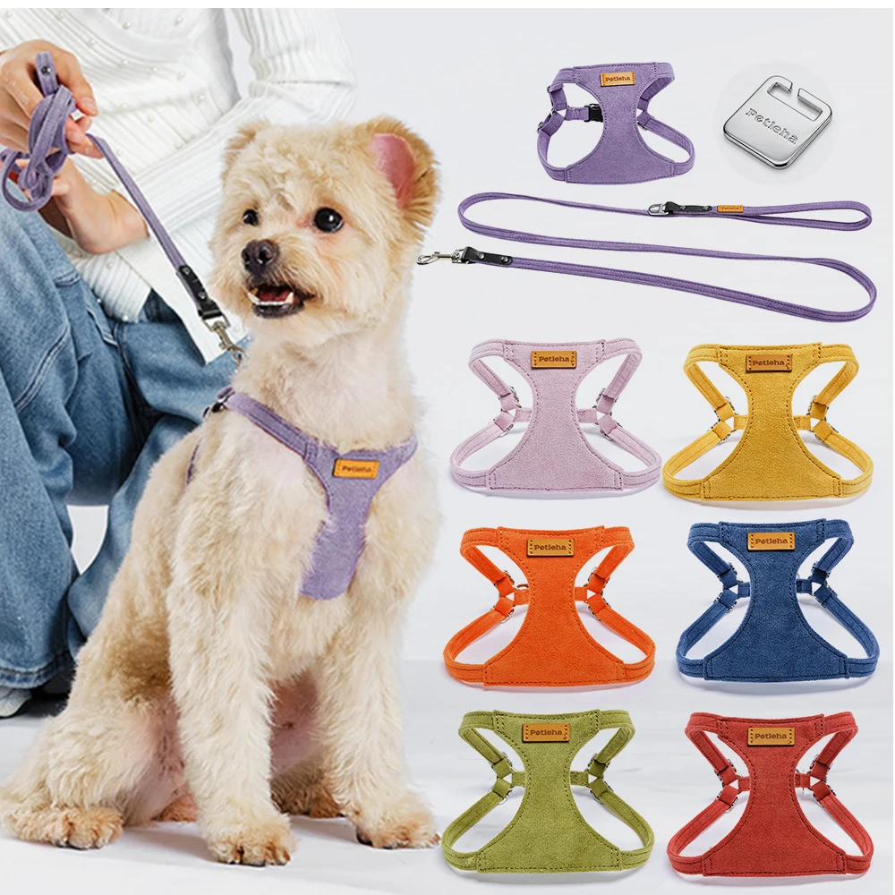 Luxury Genuine Suede Dog Harness and Lead Set | Soft Anti-Shock Padded Vest with Soft Leather Leash for Small Medium Large Dogs