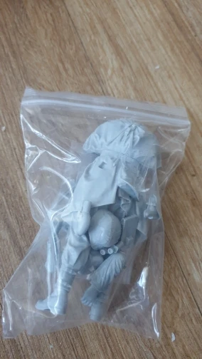 Buyer photo of this resin kit