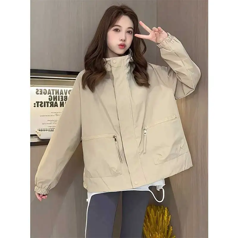 

Women Clothing Spring Autumn Fashion Korean Zipper Solid Color Stand-up Collar Female Simplicity Office Lady Long Sleeve Cardiga