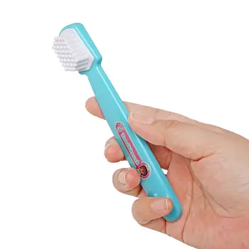 一套兩色牙醫禮物牙刷教學模型套裝,兒童早期教育刷牙玩具示範學習模型 8 最佳銷售 牙齒玩具 - №8