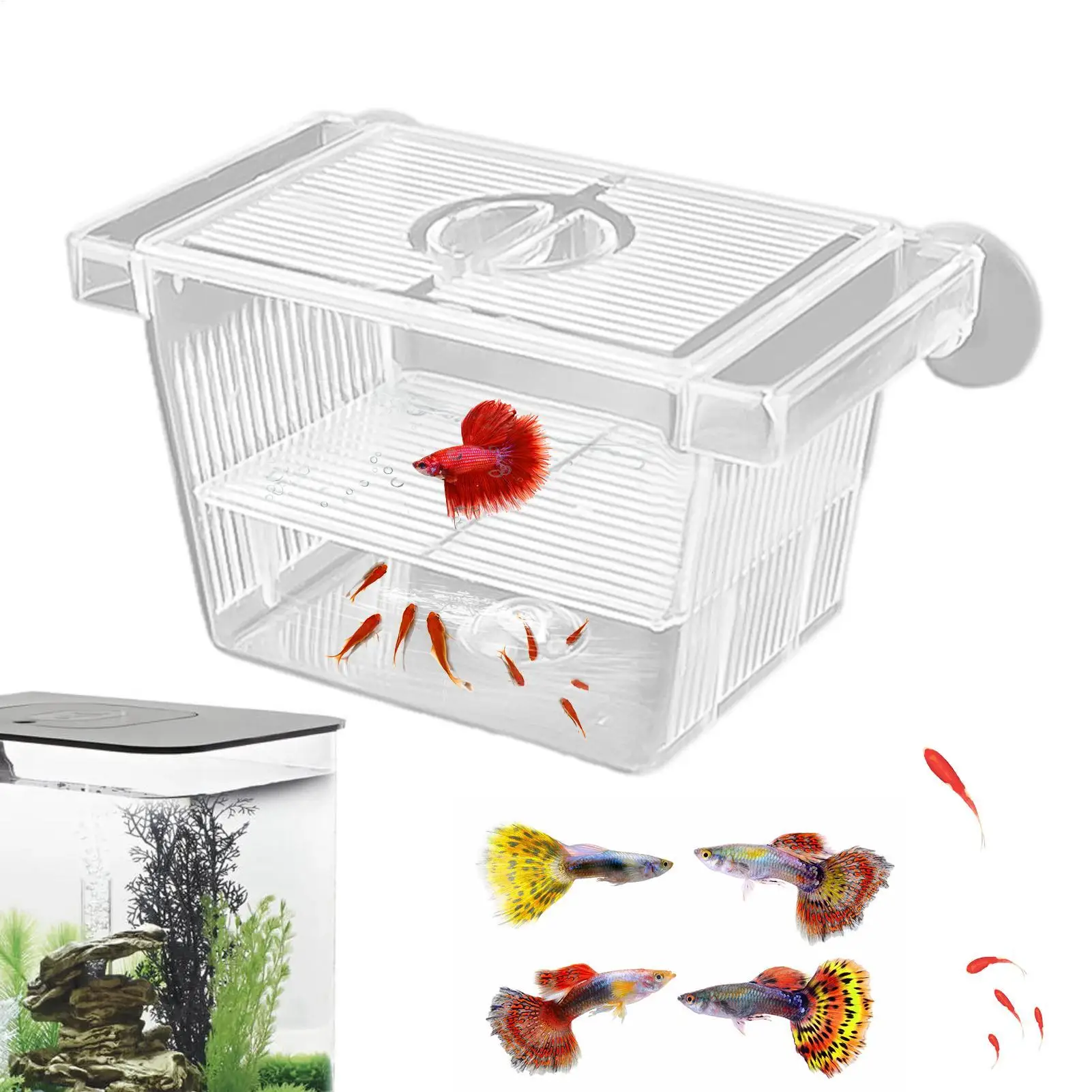 Aquarium Fish Breeder Box Clear Betta Fish Tank Fish Breeding Isolation Box Hatching Incubator Box For Baby Fish Shrimp Trap Box