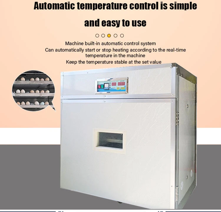 New Product Explosion HZ-528 Egg Incubators Automatic Hatching Machine Intelligent Temperature Control on Sale