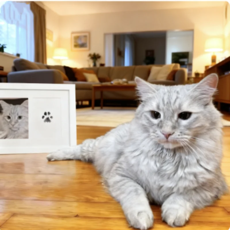 الوليد الطفل DIY اليد وبصمة عدة منصات الحبر إطار الصورة بصمة الحيوانات الأليفة تذكارية التنظيف الآمن القط والكلب بصمة الوسادة