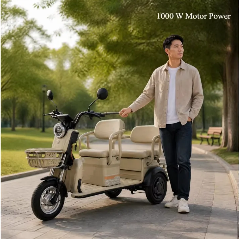 Wholesale BRAND C6 New Electric Cargo Tricycle Warehouse Farm Market Delivery Fleet Buyer Logistics 1000W Adult