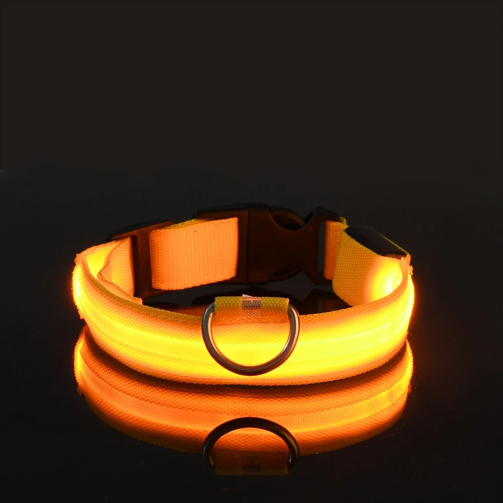 Nylon LED Night Safety Flashing Glow In The Dark Dog Leash Collar