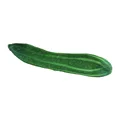 cucumber 26cm