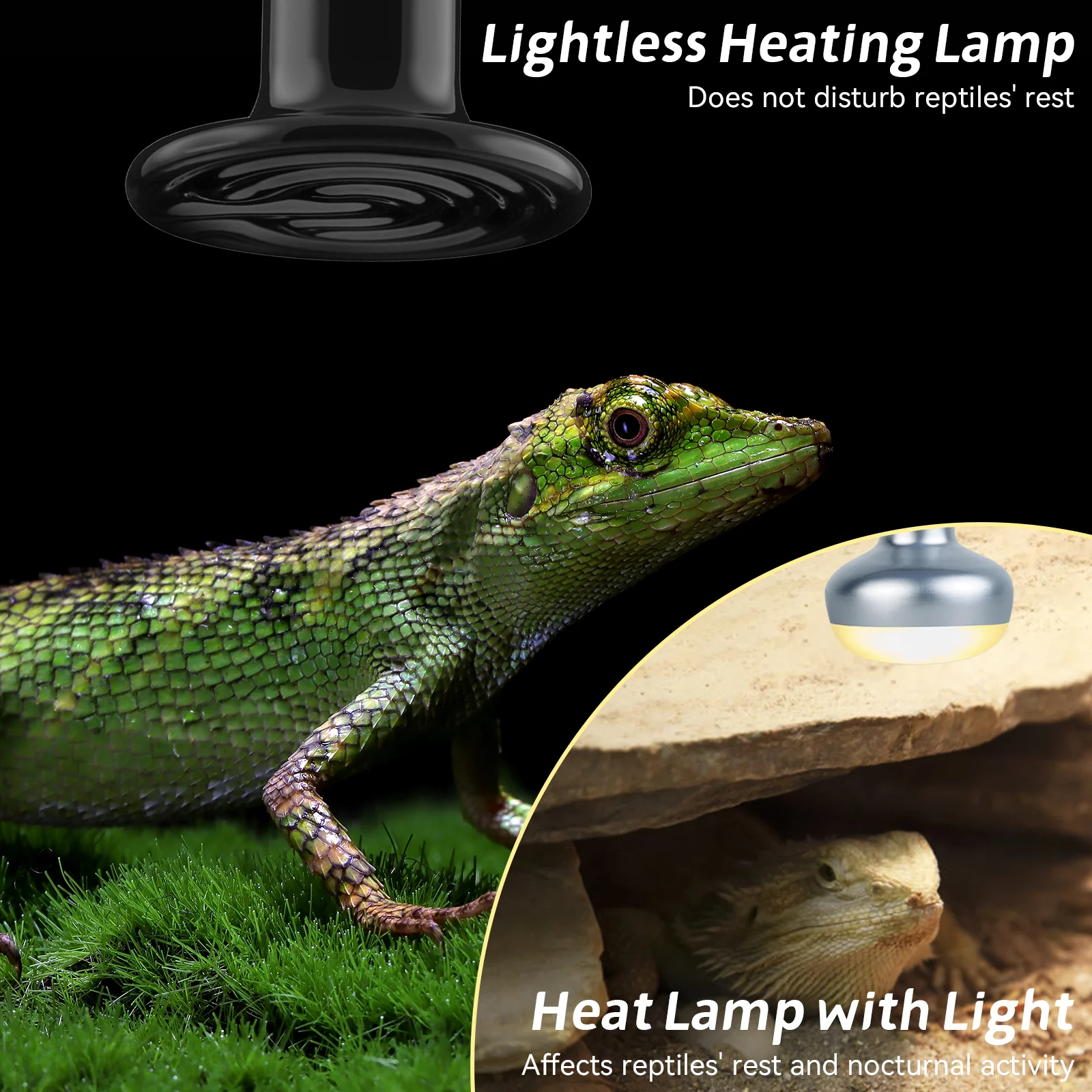 Thumbnail 3 - #30 Compare Reptile Heat Lamps Before You Buy