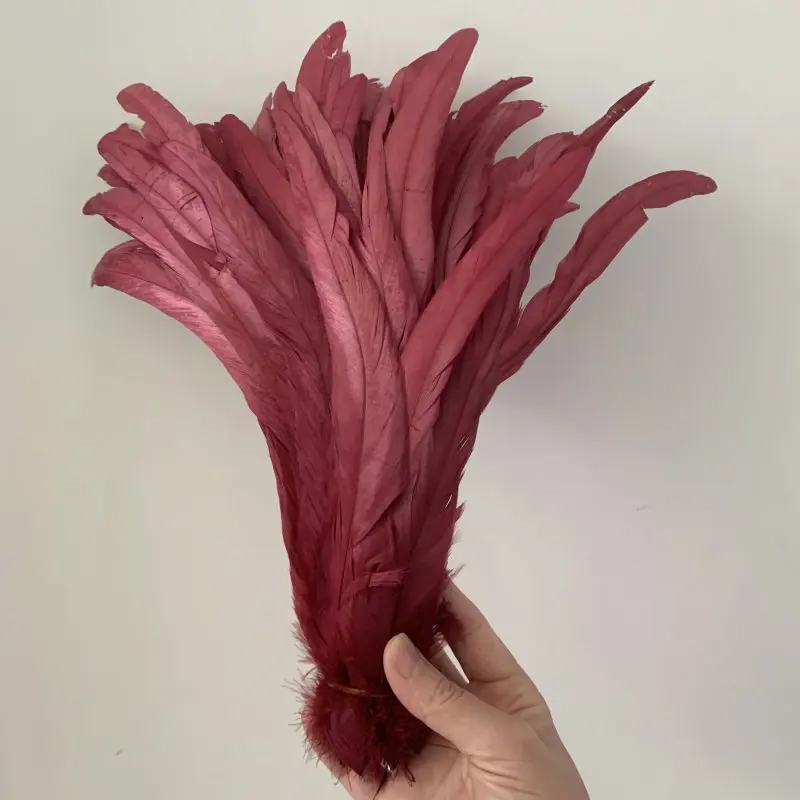 Hahnenschwanzfeder, 100 Stück, Rot, Schwarz, alle Größen, DIY-Feder, Kleidung, Schmuck, Accessoires, Hochzeitszubehör, Leistung erforderlich – Detail 13
