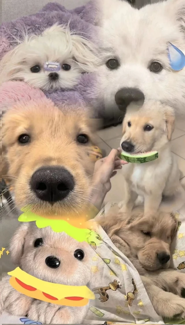 

Металлический комплект для модернизации радиоуправляемых машинок: передний и задний мосты, приводной вал. Подходит для радиоуправляемых моделей MN 1/12 Tank 300, MN82, MN78. Аксессуары для радиоуправляемых машинок.