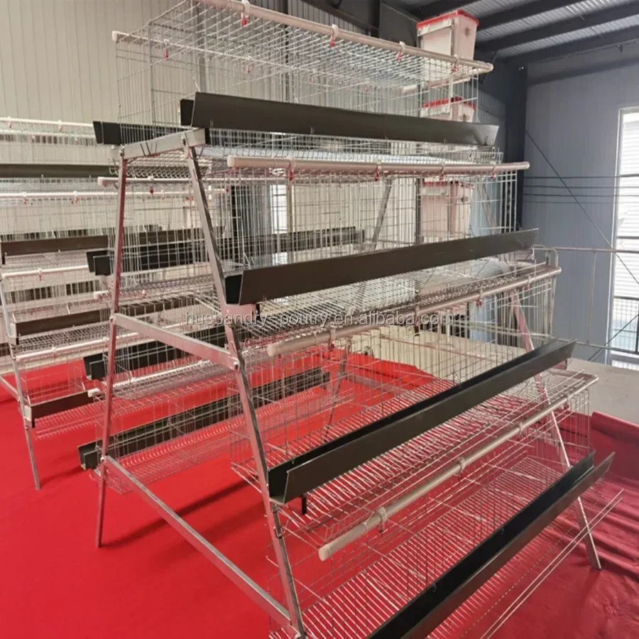 120-160 Capacity Laying Hen Cage Galvanised Stainless Steel Thick Wire Chicken Coop Poultry Chicken Farm Equipment with Chute