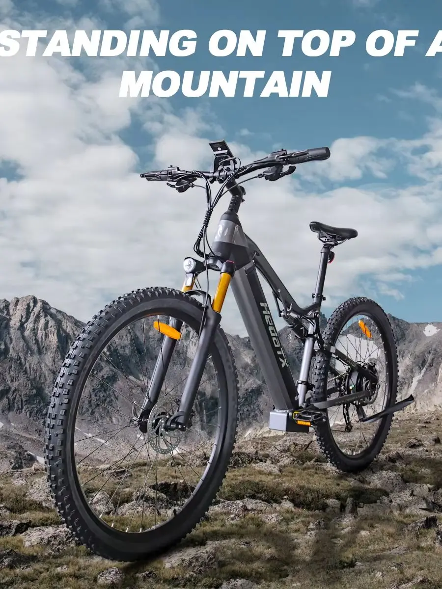 TX19 Elektrofahrrad, 1000-W-Motor, 48-V-19,2-Ah-Akku, doppelte hydraulische Bremsen, 35–50 km maximale Reichweite, E-Bike, 29-Zoll-Reifen, 27-Gang-Mountain-Elektrofahrrad