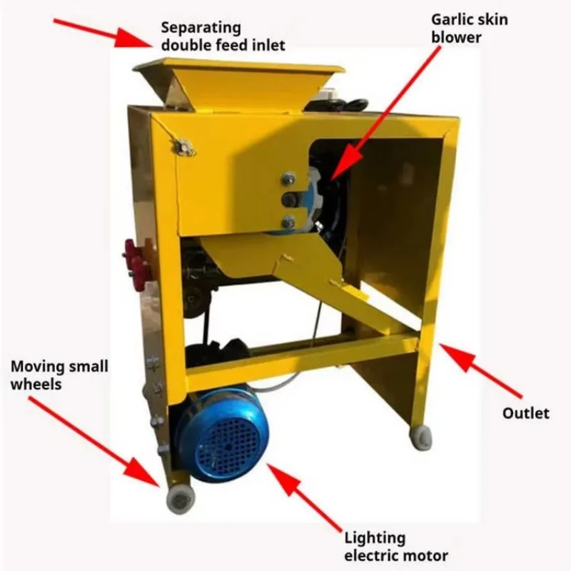 

Efficient Garlic Bulb Clove Separator - High-Output Machine for Commercial Fruit & Vegetable Processing
