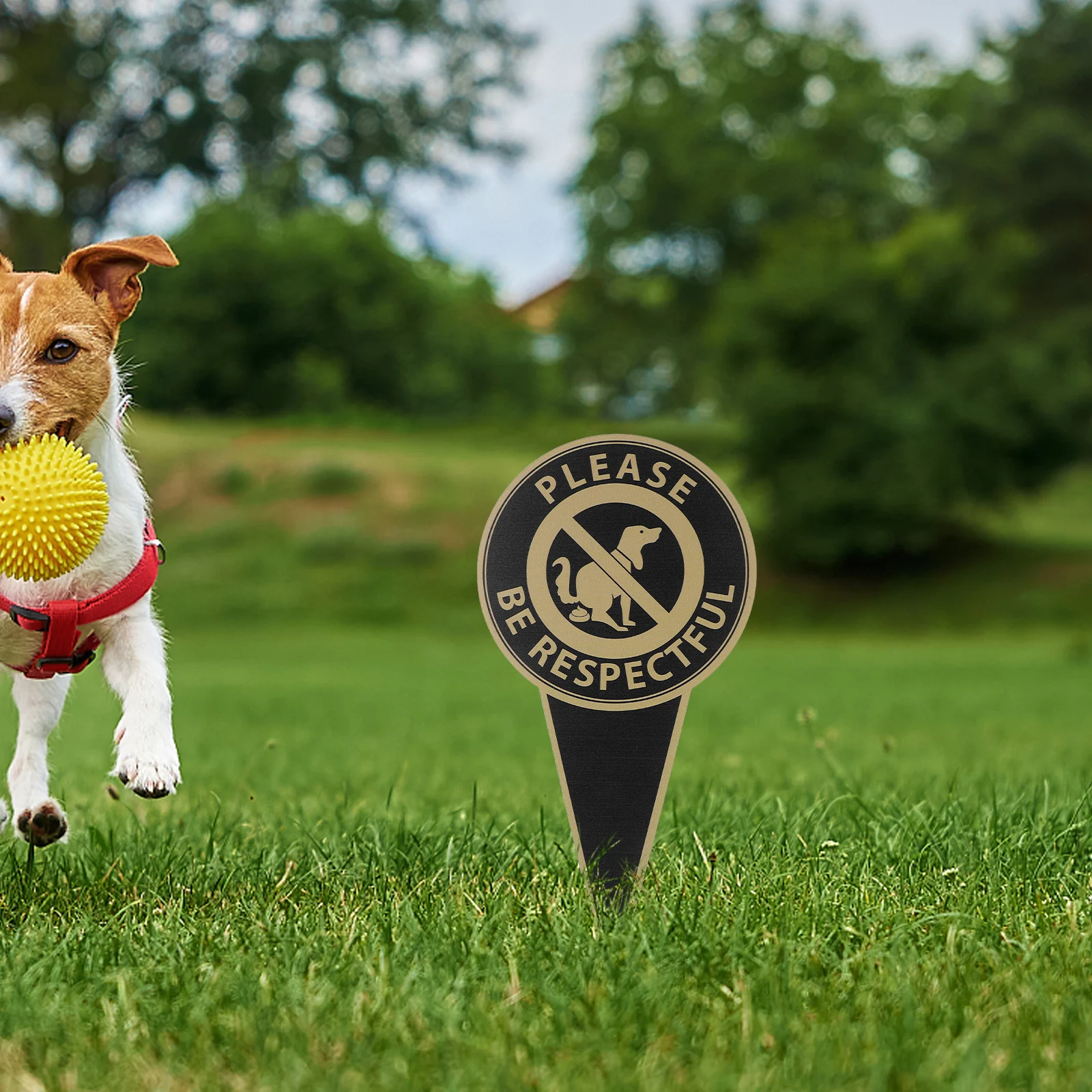 

Double Sided Dog Warning Sign Durable Aluminum Park Bright Colors Outdoor Caution Decorative Plates No Dogs Grass