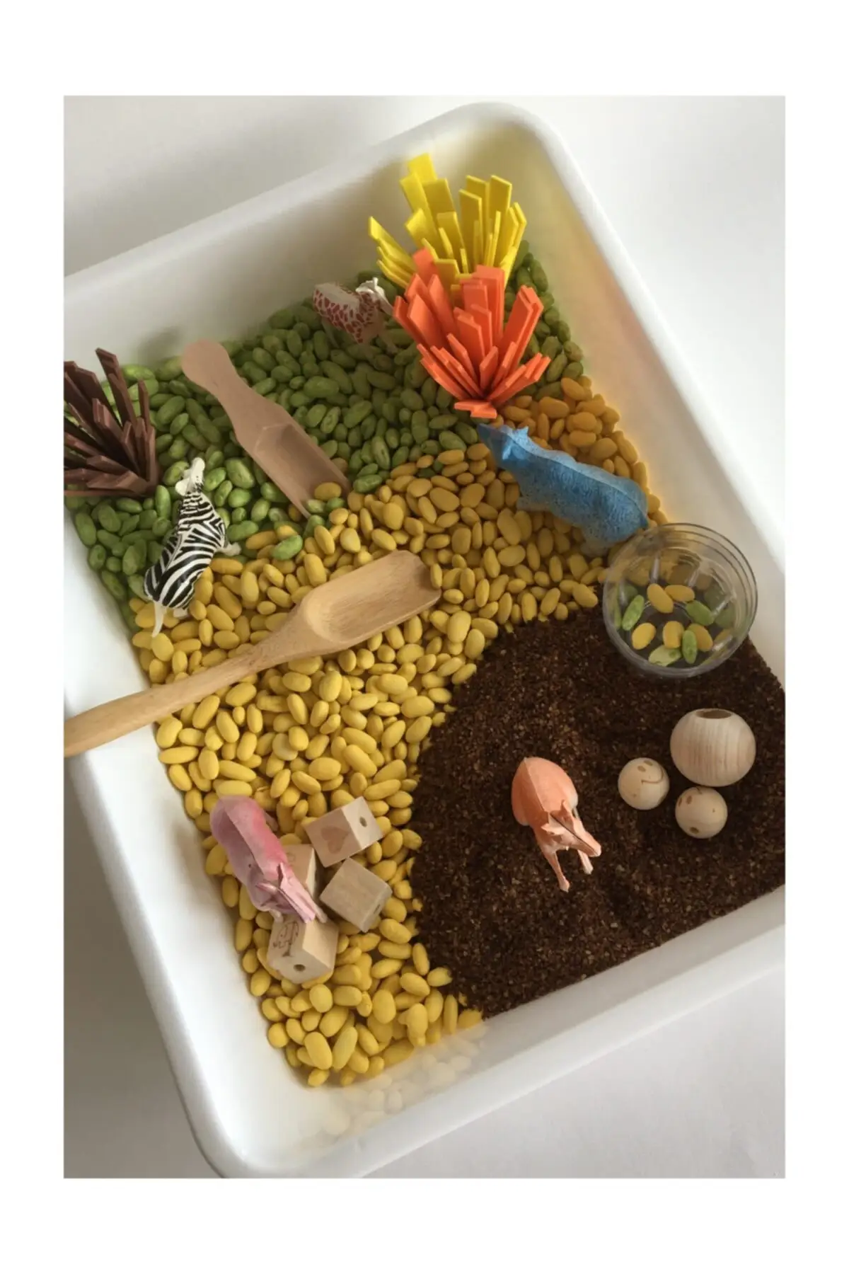 Set Game Sensorik Bertema Safari-Mainan Montessori