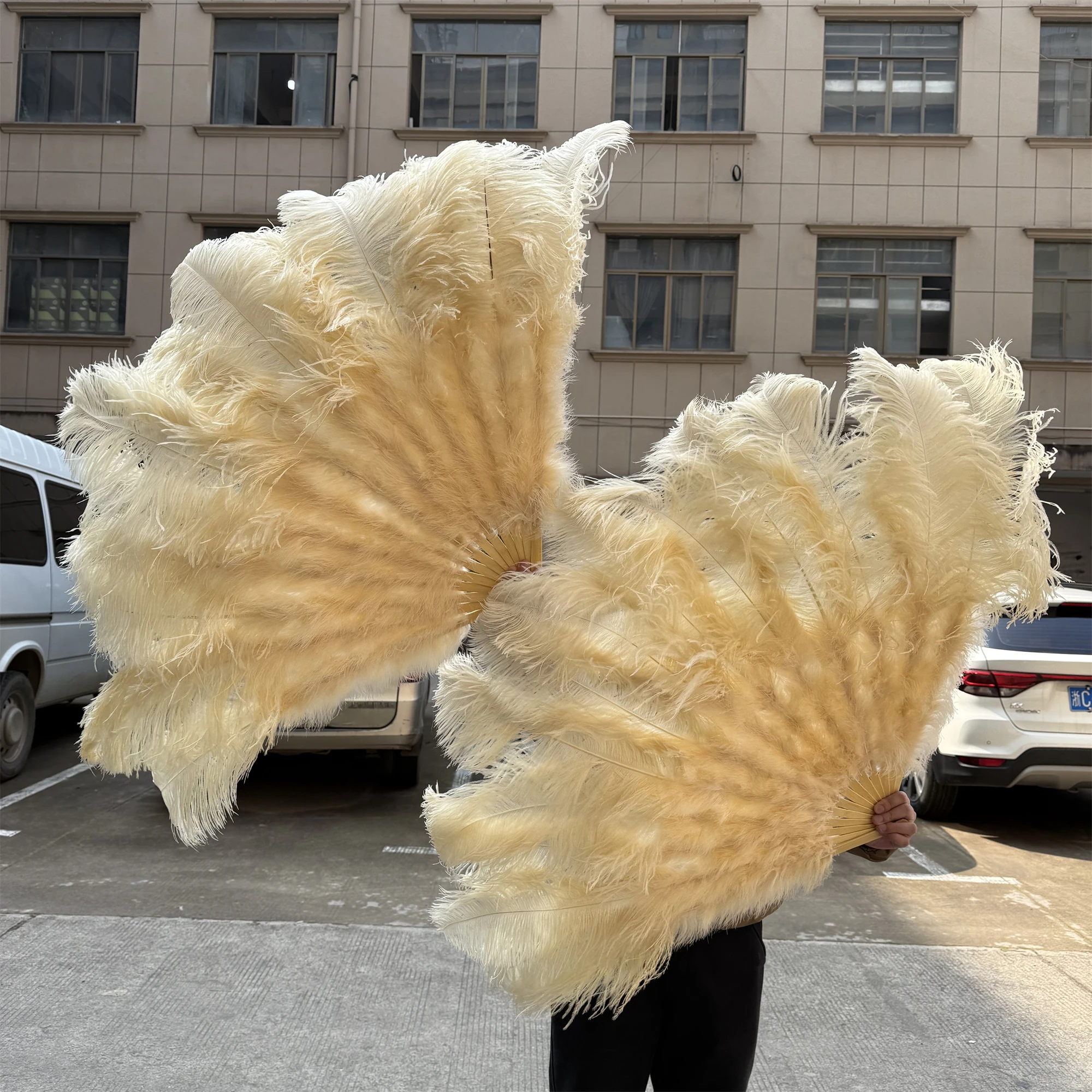 Wholesale Colorful Natural Ostrich Feather Fans Carnival Alloween Performance Party Decor Plume Stage Show Pro Crafts Accessory