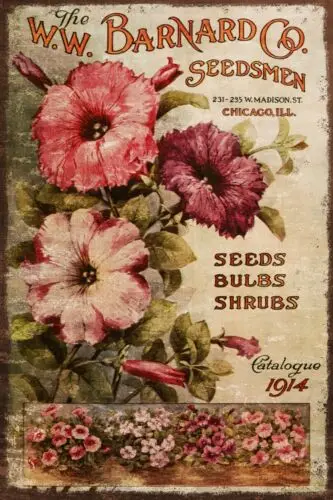 Petunia Flower Seeds Advert Aged Look Vintage Retro Style Metal Sign Plaque