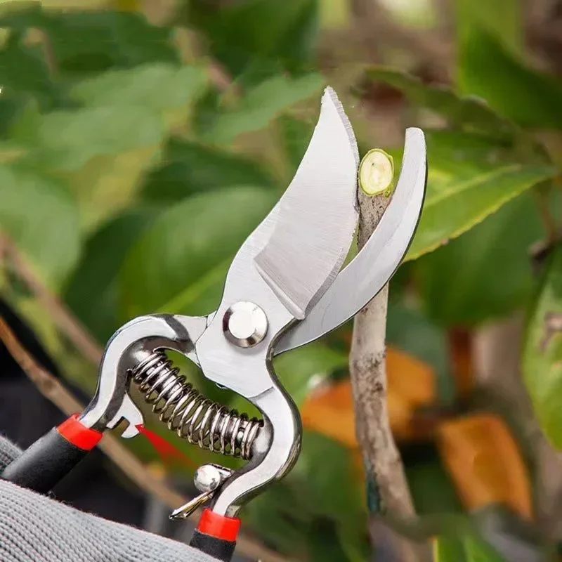 1Pc Rami Forbici da taglio Lama in acciaio legato Potatori pesanti Forbici da giardino Strumento di potatura Cesoie Forbici Innesto Attrezzi da