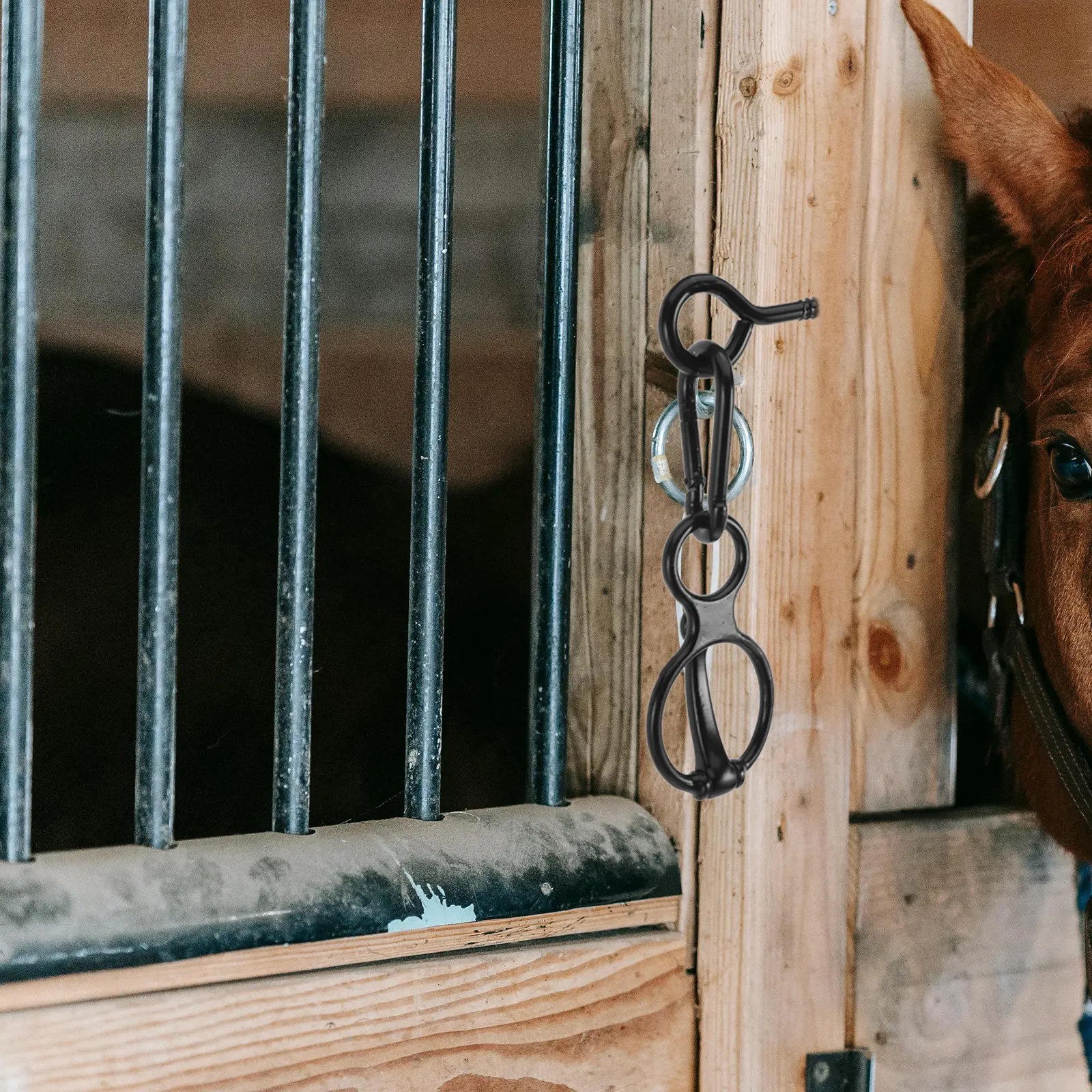 

Heavy Duty Stainless Steel Horse Tie Ring Safety Anchor Eye Bolt Barn Tack Stable Fencing Trailer Tie Down Horse Tack