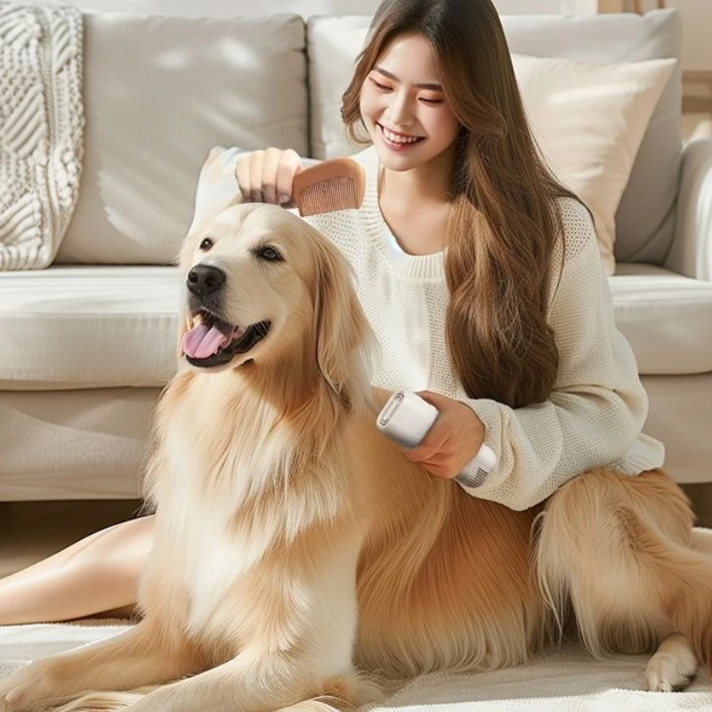 Pet Beauty Blowing Machine Deep Noise Reduction Silent High Wind Power Pet Drying Box