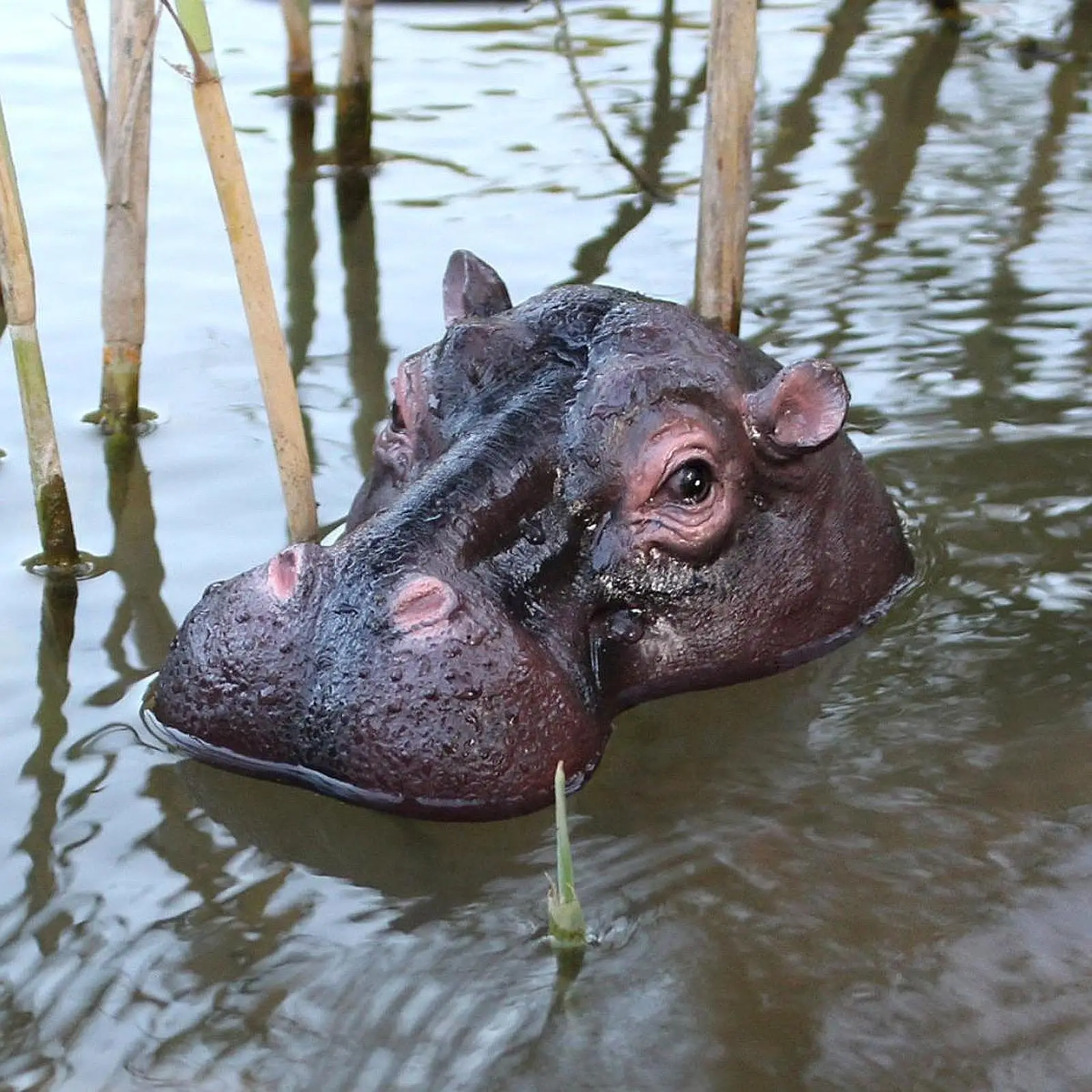 Pond Floating Hippopotamus Head Pond Decoration Ornament Sculpture Lawn Decor Lawn Statue Garden Animal Figurine Garden Decor