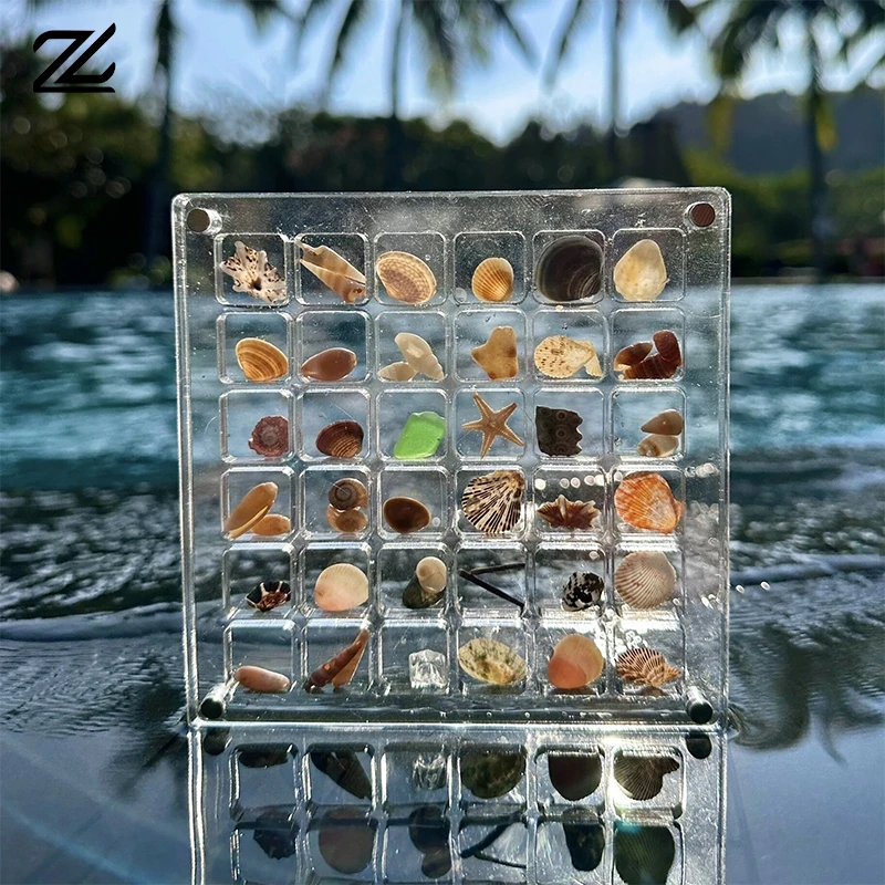 Acrylic Magnetic Seashell Display Box Seashell Clear Starfish Trinket Organizers 36/64/100 Grids Mini Seashell Storage Box