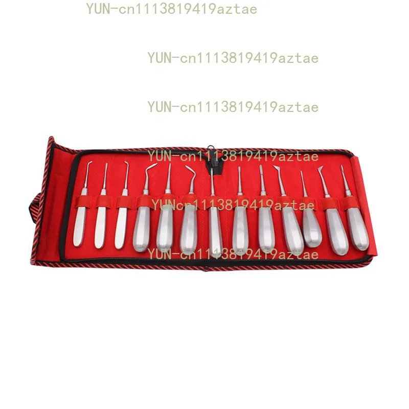 13pcs Elevator Set Made in Teeth Extraction Tooth Extracting Forceps Stainless Steel Curved Root Lift Elevator